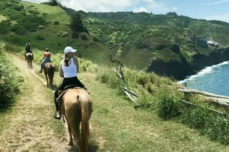 View the island from this fantastic Maui Horseback Trip