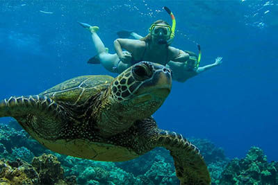 Maui Kaanapali Beach snorkel excursion