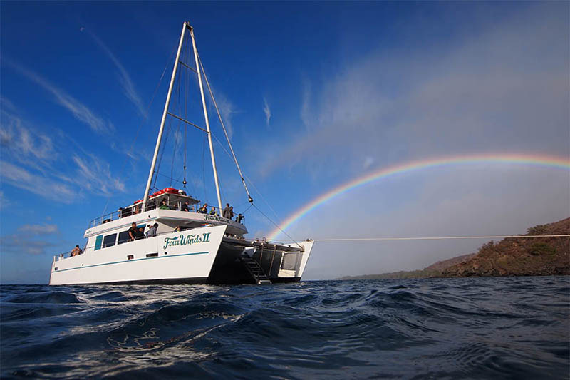 Maui Snorkel